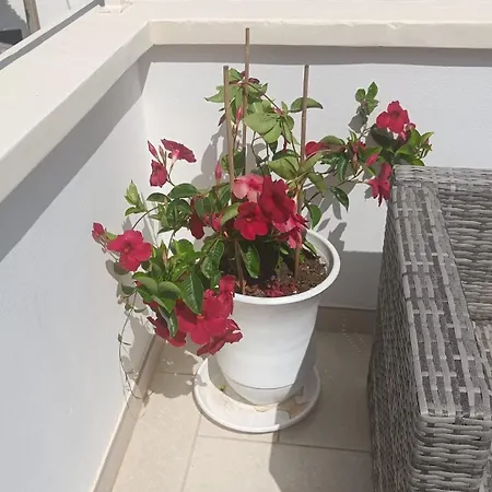 Casa Al Mare Carola